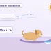 Klíma és háziállatok – ajánlott 25–27 °C beltéri hőmérséklet